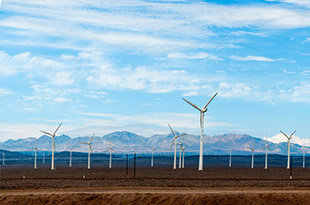 品種豐富，規格齊全